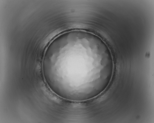 X0000112361025200908201458