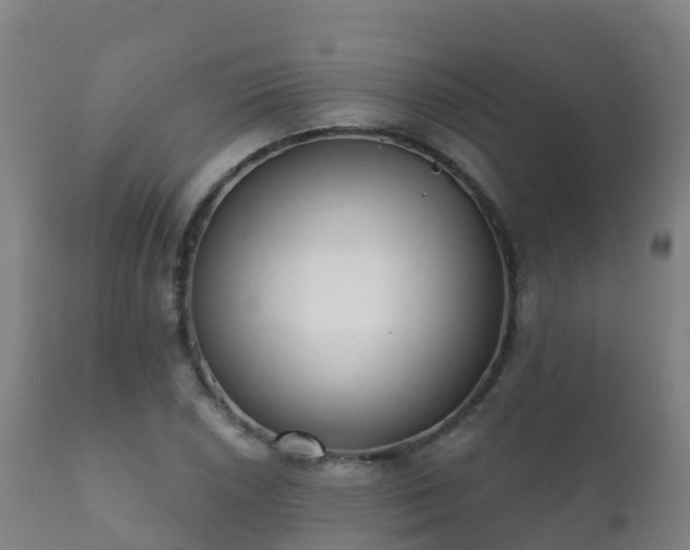 X0000112361026200908201458