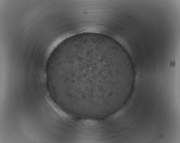 X0000112361027200908201458