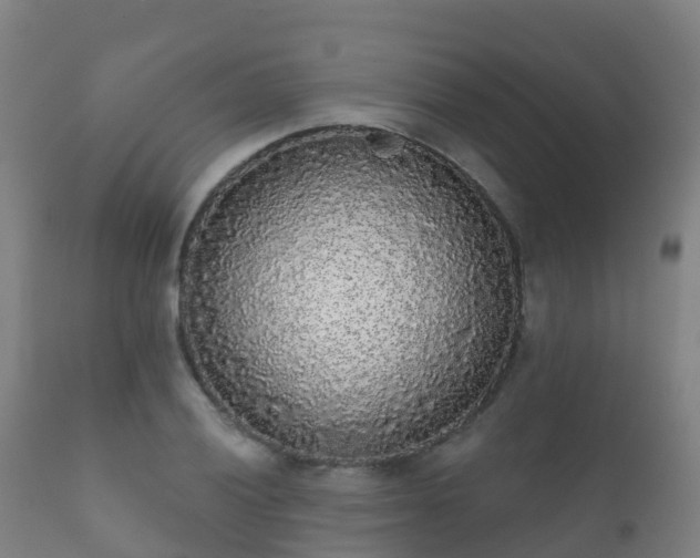 X0000112361028200908201458