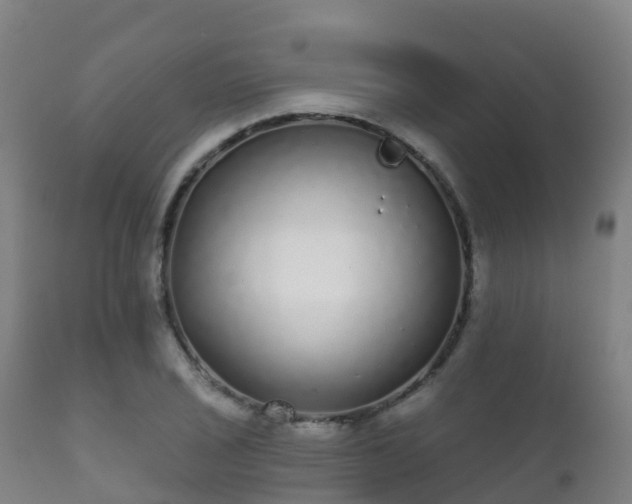 X0000112361029200908201458