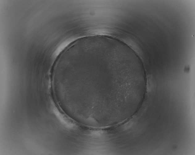 X0000112361031200908201458