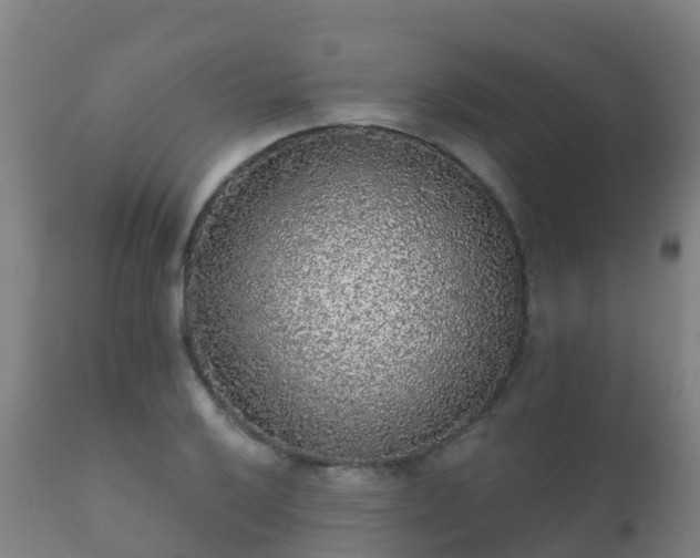 X0000112361032200908201458