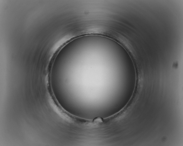 X0000112361034200908201458