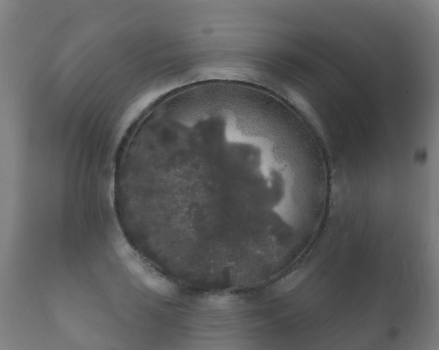 X0000112361035200908201458