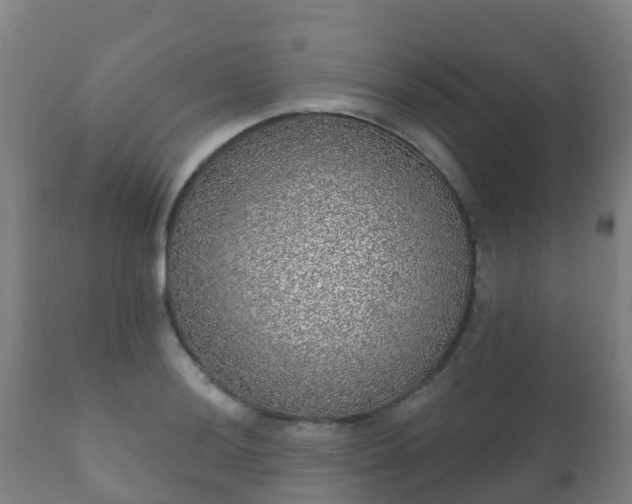 X0000112361036200908201458