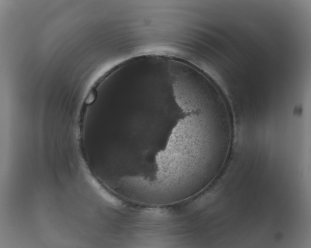 X0000112361037200908201458