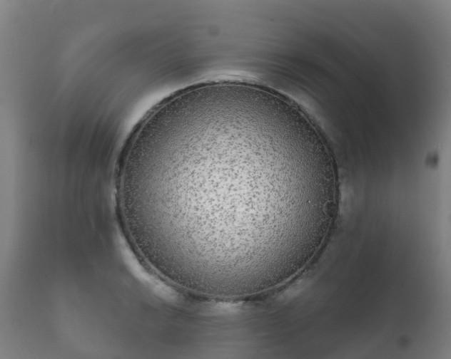 X0000112361038200908201458