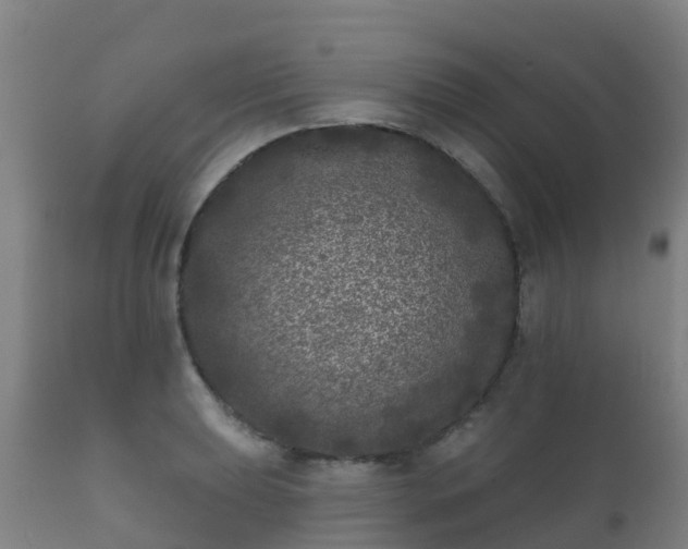 X0000112361039200908201458