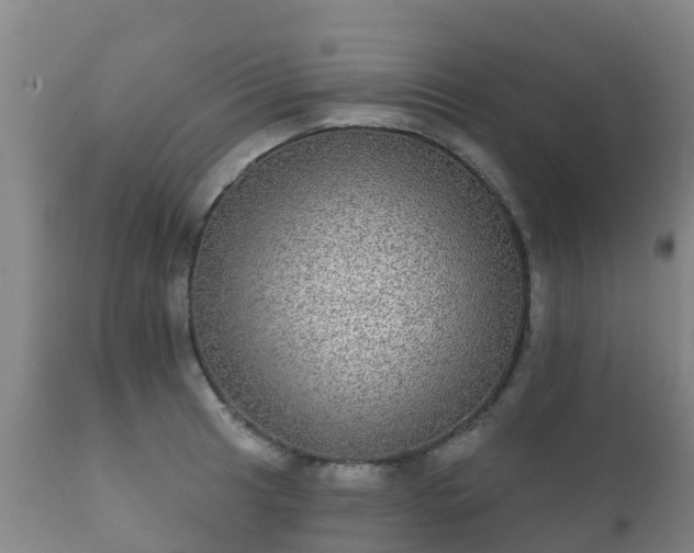 X0000112361041200908201458