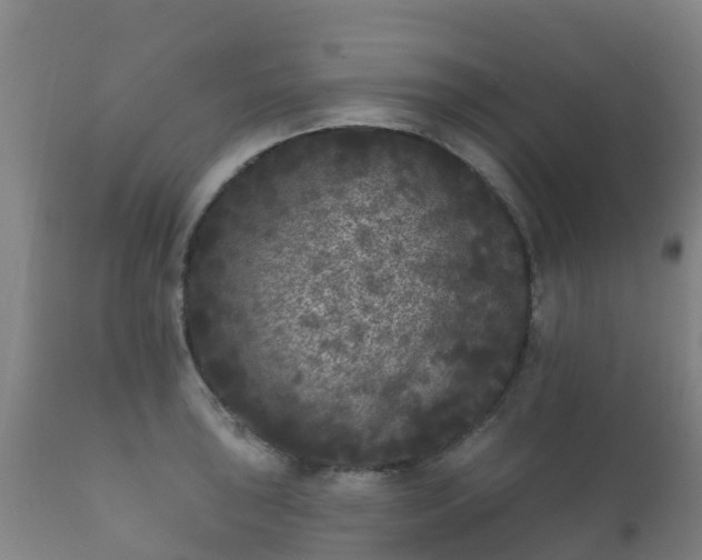 X0000112361043200908201458