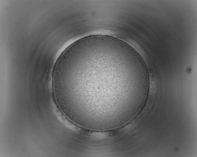 X0000112361044200908201458