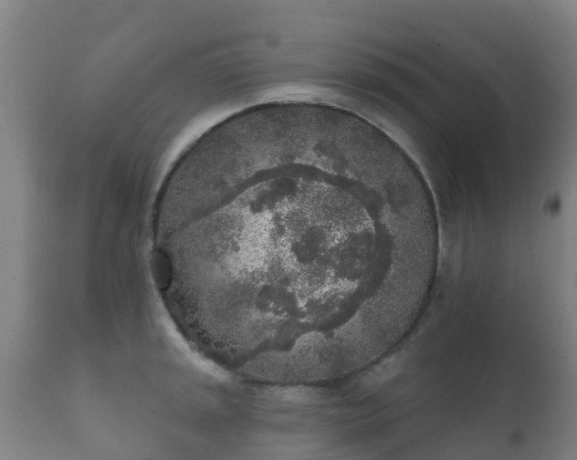 X0000112361045200908201458