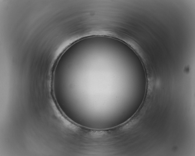 X0000112361046200908201458