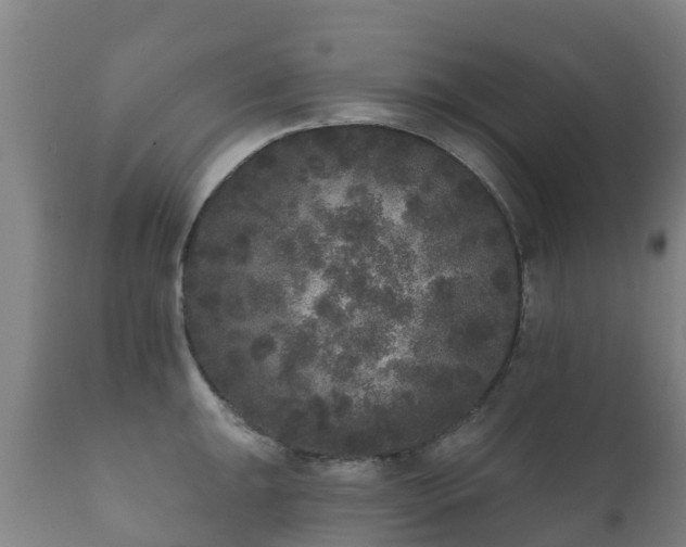 X0000112361047200908201458