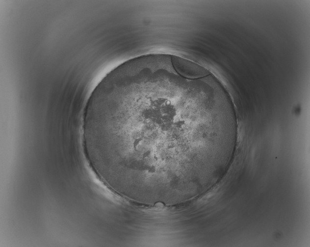 X0000112361048200908201458