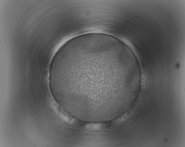 X0000112361051200908201458