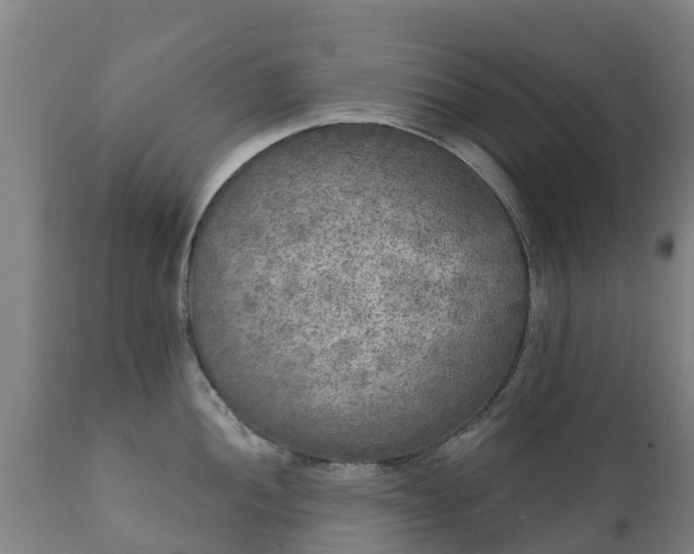 X0000112361052200908201458