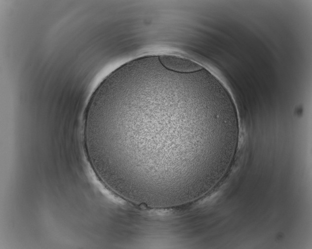 X0000112361053200908201458