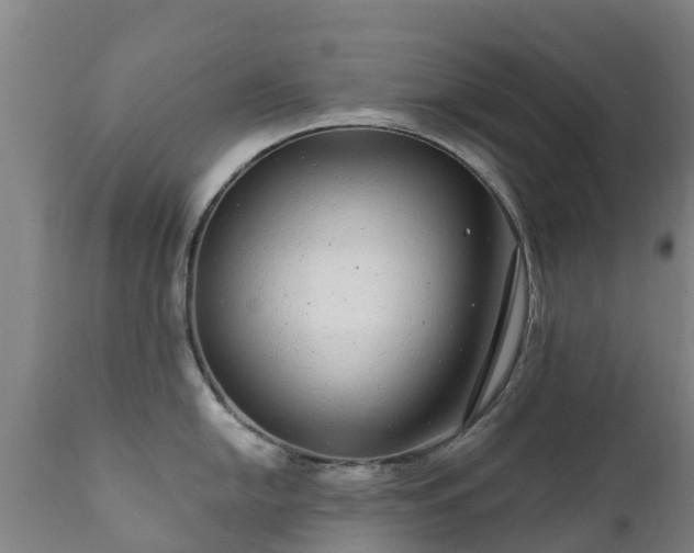 X0000112361054200908201458