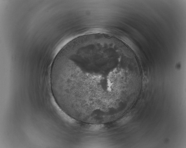 X0000112361055200908201458