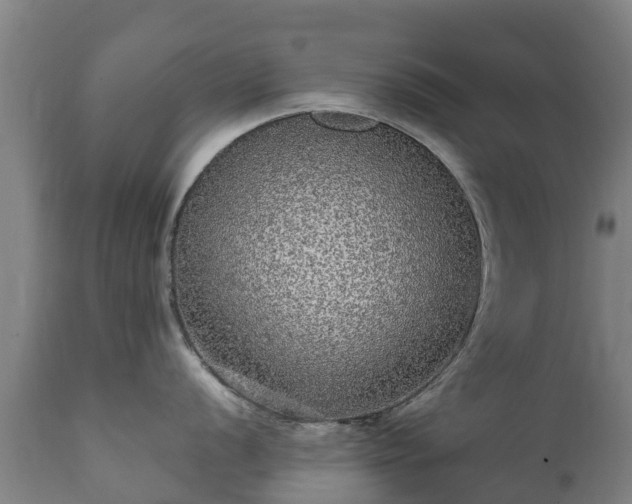 X0000112361056200908201458