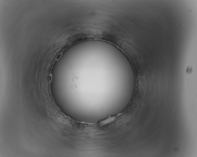 X0000112361057200908201458