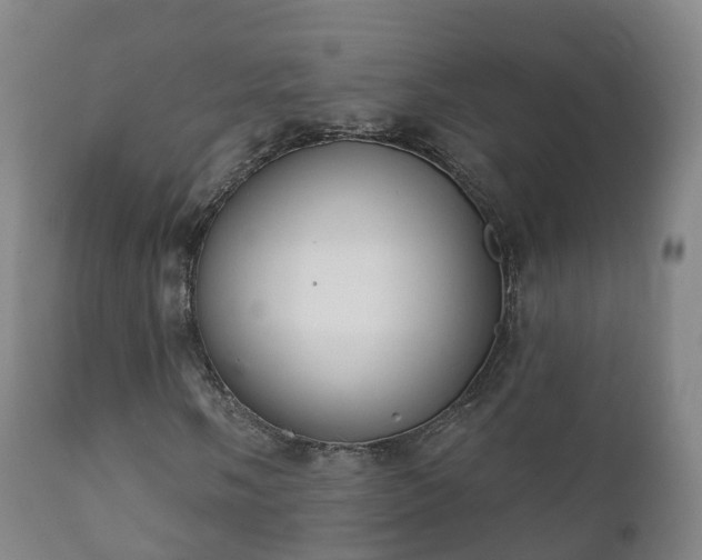 X0000112361058200908201458