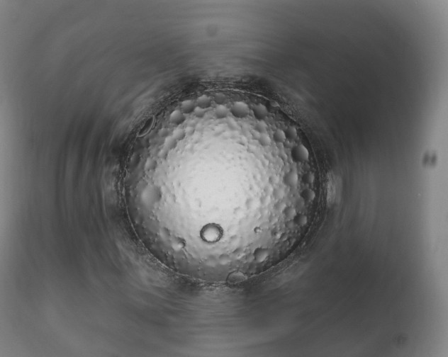 X0000112361059200908201458