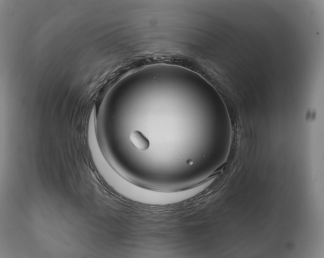 X0000112361060200908201458