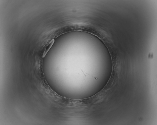 X0000112361061200908201457