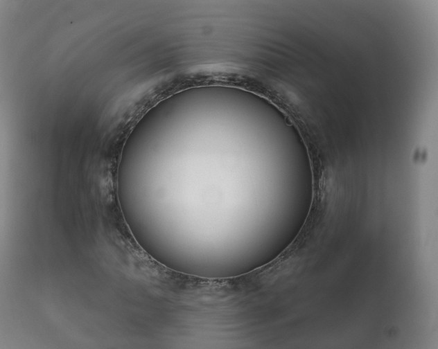 X0000112361062200908201457