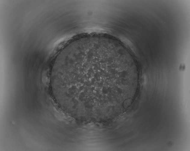 X0000112361063200908201457