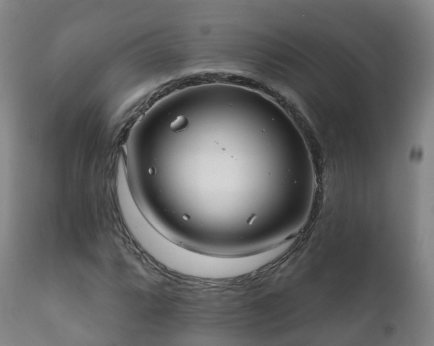 X0000112361064200908201457