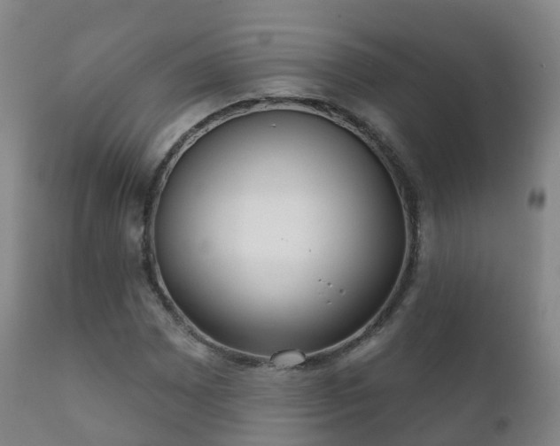 X0000112361065200908201457