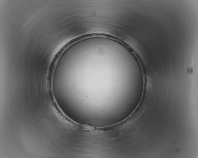 X0000112361068200908201457