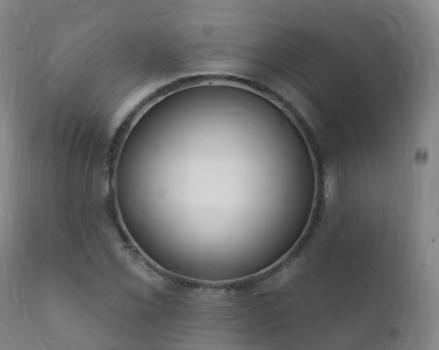 X0000112361069200908201457