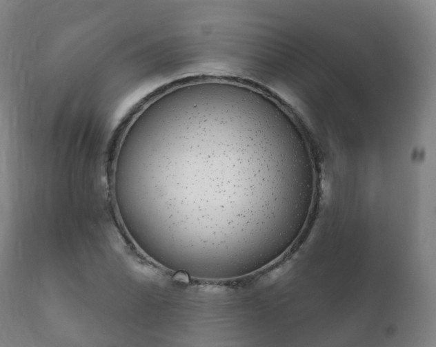 X0000112361070200908201457