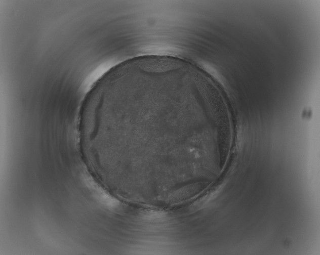 X0000112361071200908201457