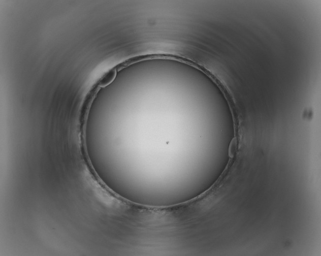 X0000112361072200908201457