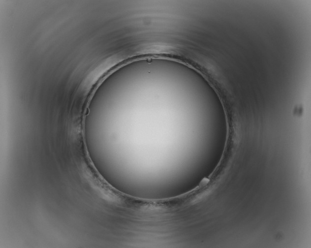 X0000112361073200908201457