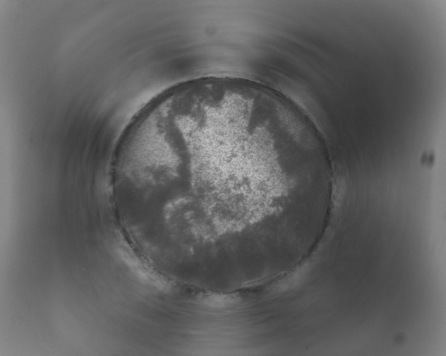 X0000112361074200908201457