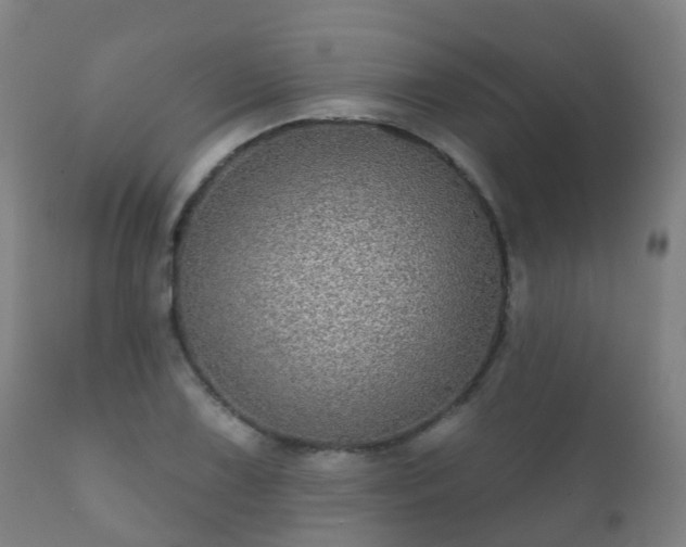 X0000112361075200908201457