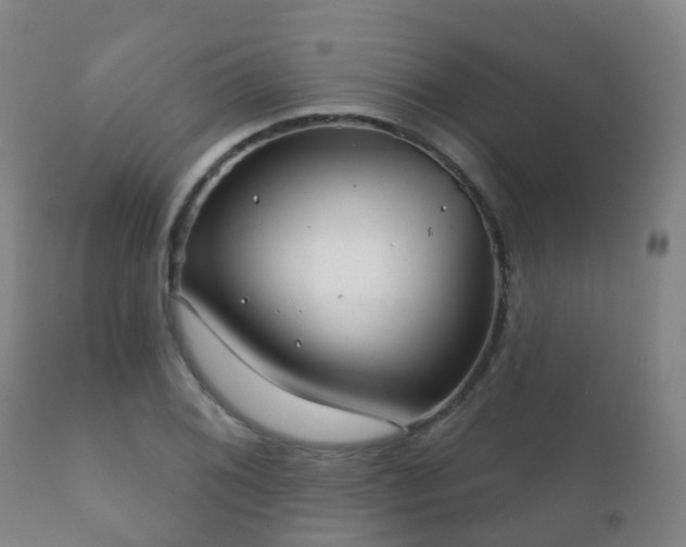 X0000112361076200908201457