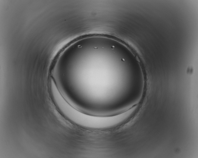 X0000112361077200908201457