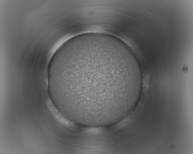 X0000112361078200908201457