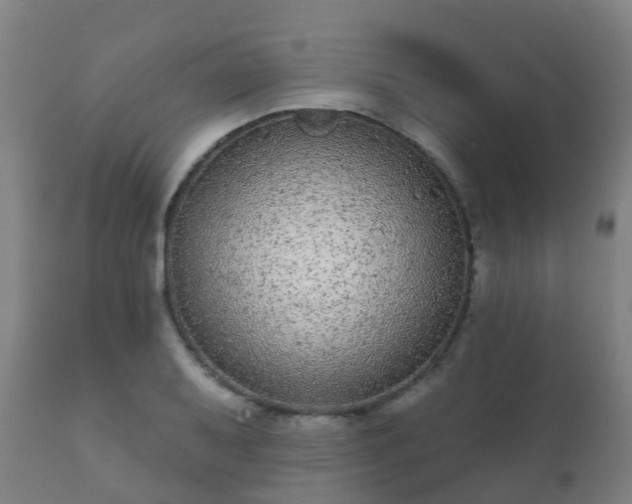 X0000112361079200908201457