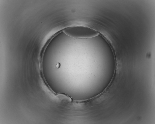 X0000112361080200908201457