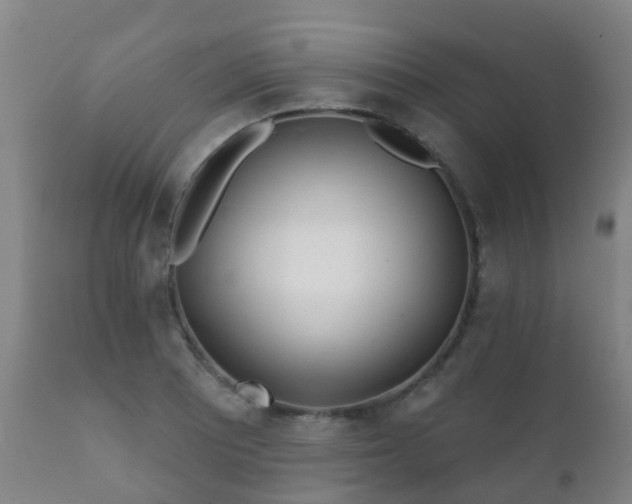 X0000112361081200908201457