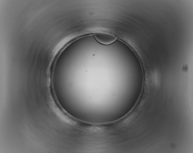 X0000112361082200908201457